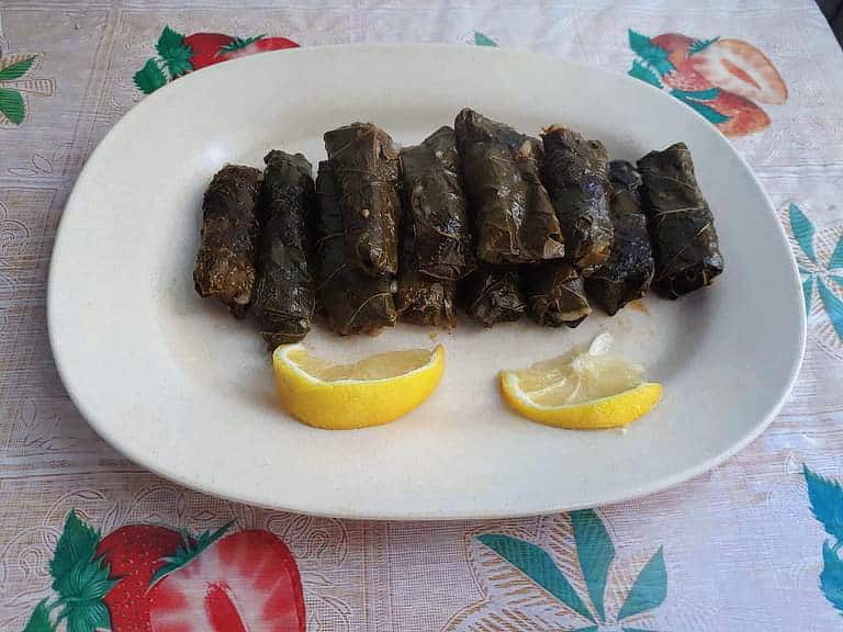 Stuffed Grape Leaves Warak Enab with slices of Lemon